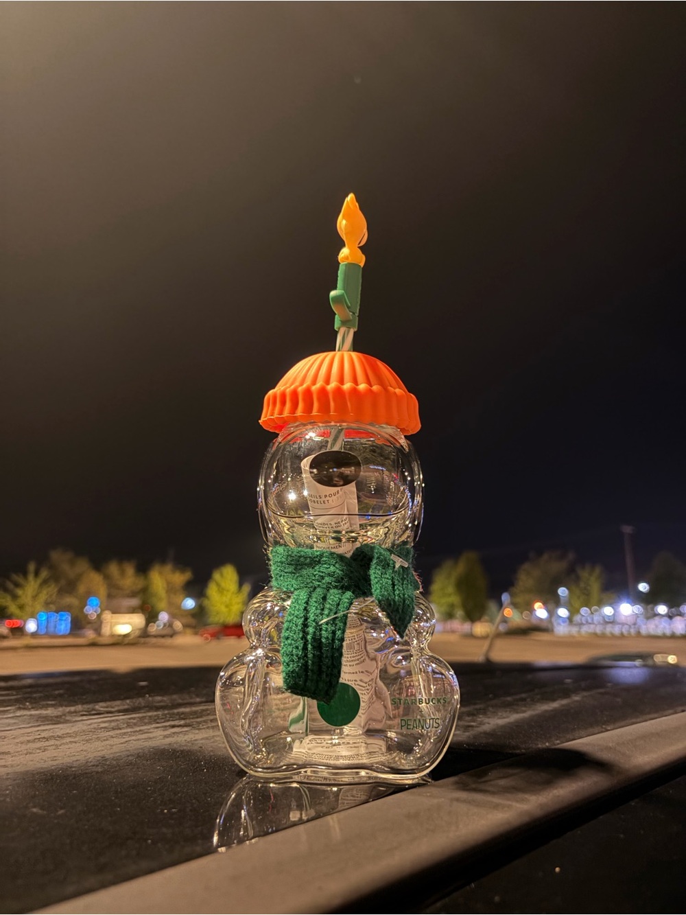 Starbucks Snoopy Cold Cup with Orange Beanie and Green Scarf